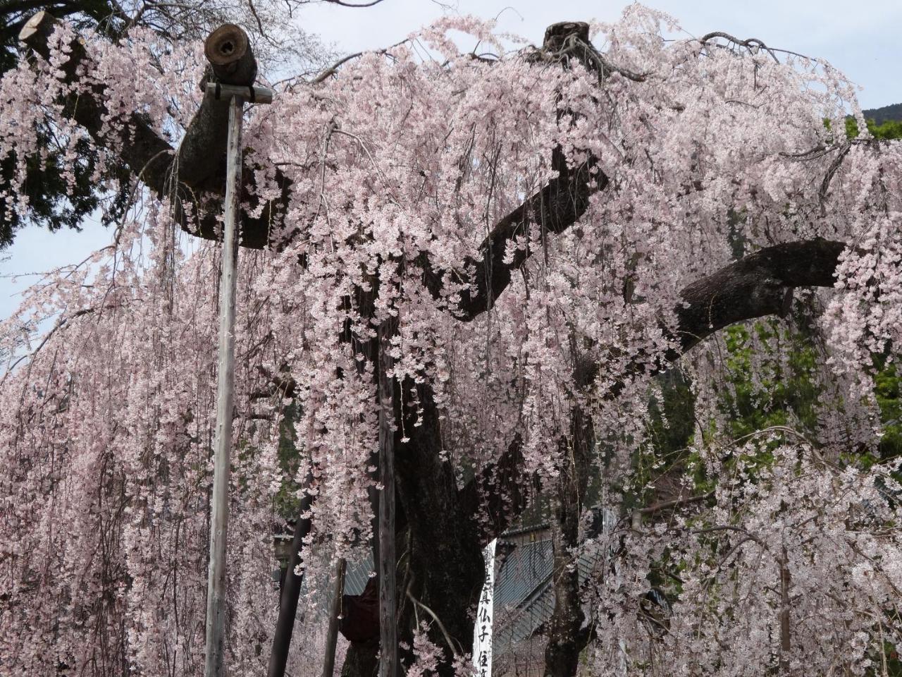 Ryokan Tanakaya Minobu Esterno foto